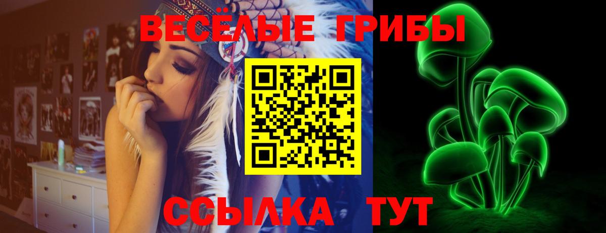 Галлюциногенные грибы Cubensis Ейск